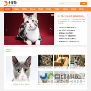 金宠物 - 宠物猫狗品种及宠物猫狗喂养美容训练知识大全